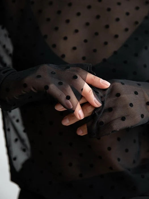 Dot Mesh Sheer Turtleneck Long Sleeve Tee