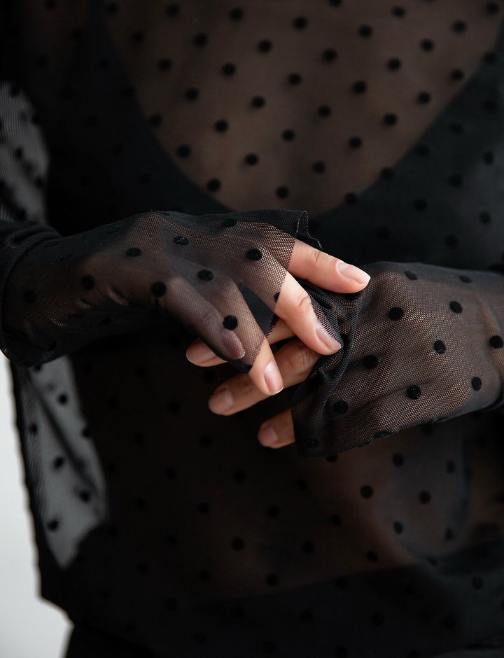Dot Mesh Sheer Turtleneck Long Sleeve Tee