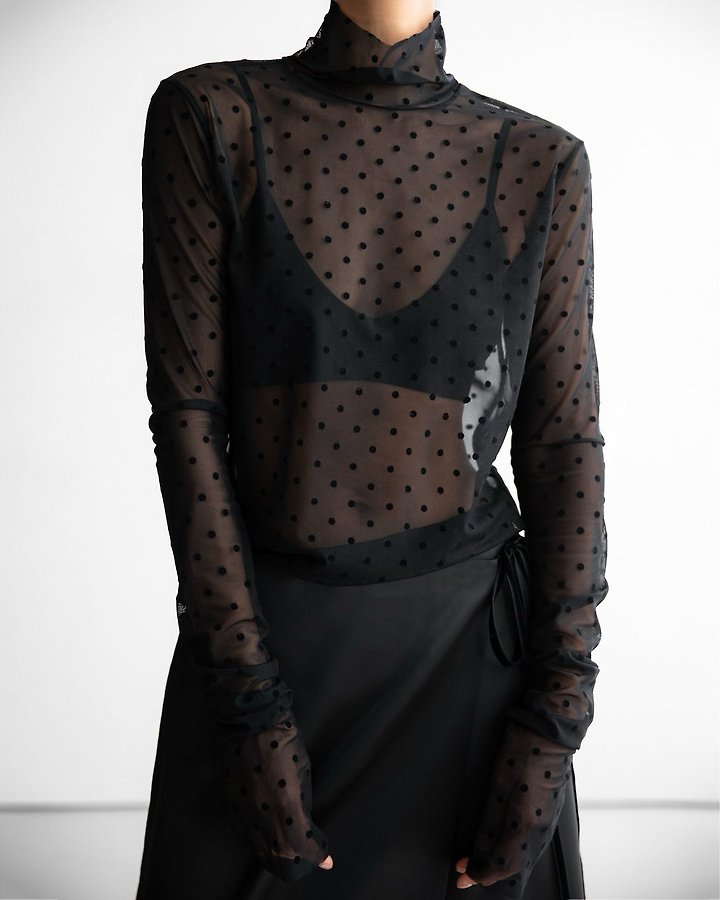 Dot Mesh Sheer Turtleneck Long Sleeve Tee